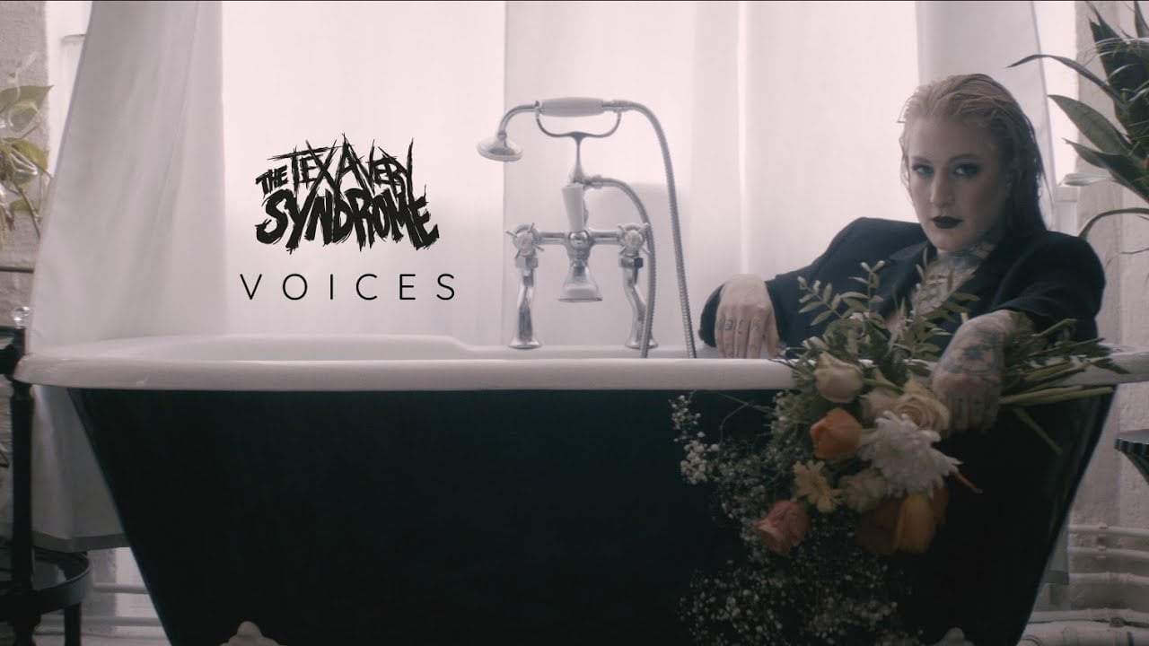 the tex avery syndrome voices official music video