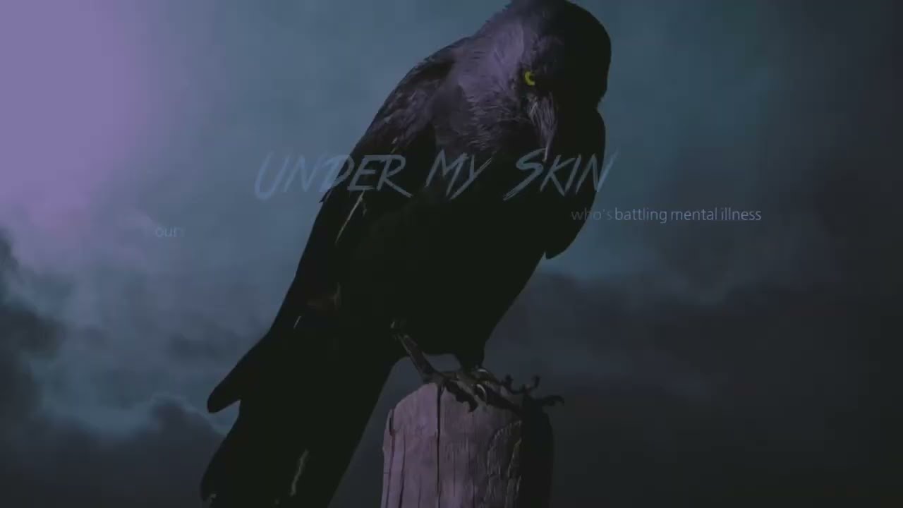 s.o.r.m under my skin official lyric video noble demon