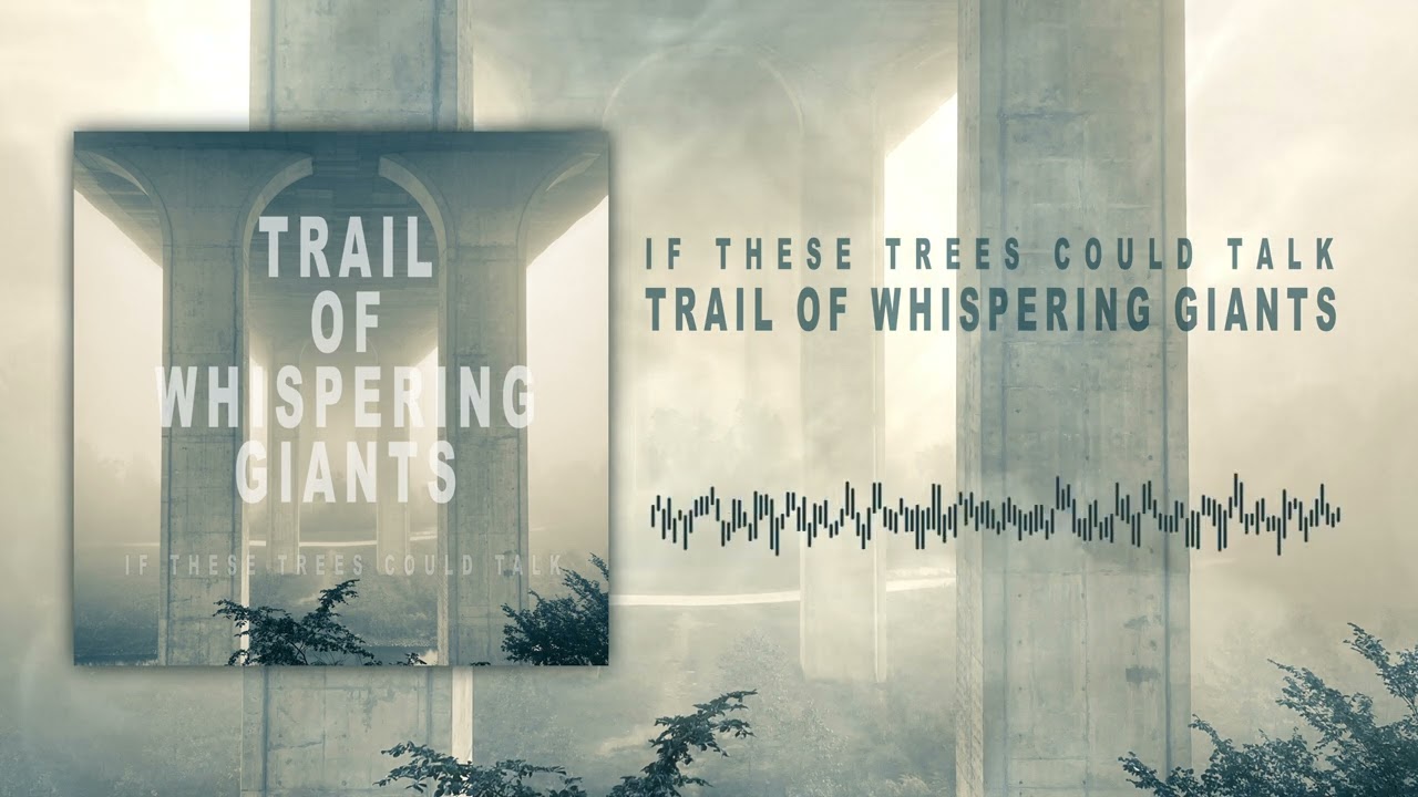 if these trees could talk trail of whispering giants official