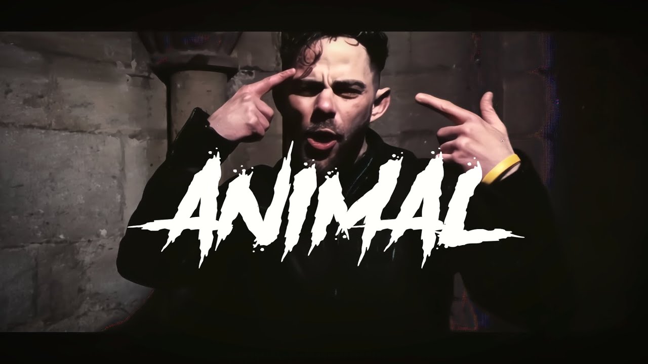 dead reynolds animal official music video