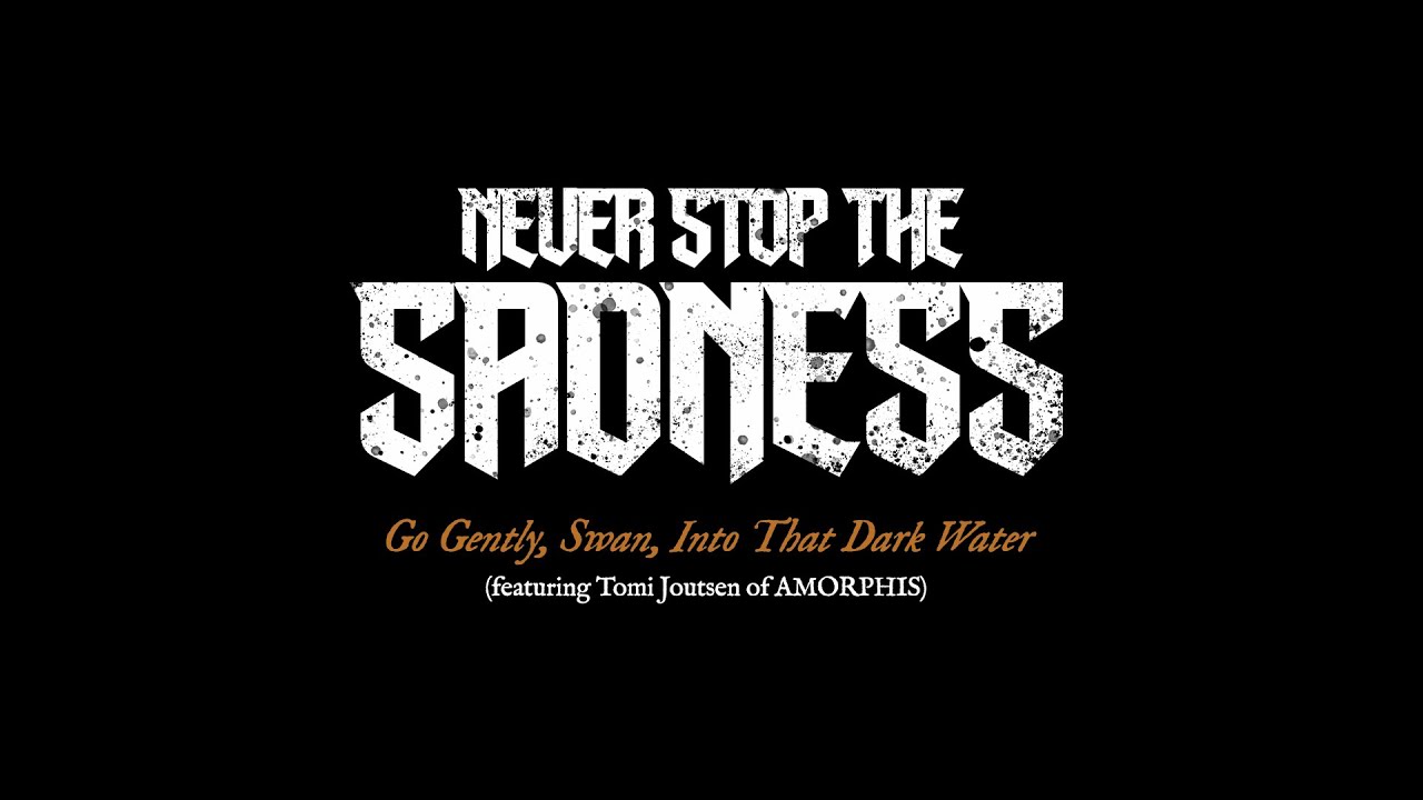 never stop the sadness go gently swan into that dark water official lyric video